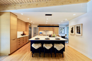 Example of a 1960s kitchen design in Chicago