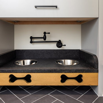 Pet Feeding Station