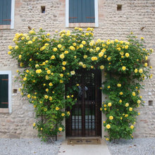 entrata