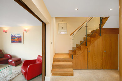 Example of a trendy hallway design in Dublin