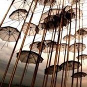 Simone Gigliotti's photo