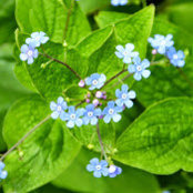 Martha Walch's photo