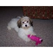 Donna Seabolt's photo