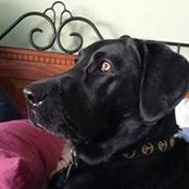 Rachelle Olsen's photo