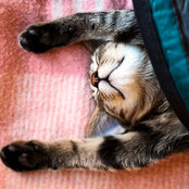 Alicia P's photo