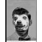 Michael Pedicone's photo