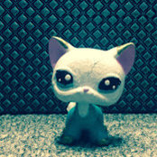 Ally Lps Gaming's photo