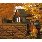 Heather McLaughlin Ebright's photo