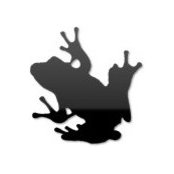 Photo de Toad Xu
