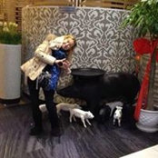 Rhoda Tsai's photo