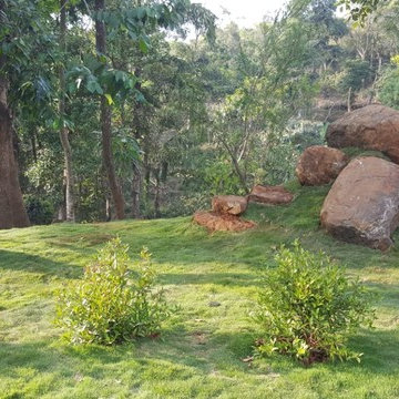 Aclat Meadows Landscape