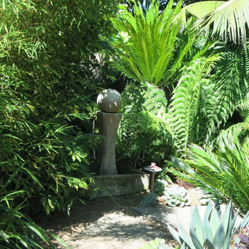Tropical Zen
