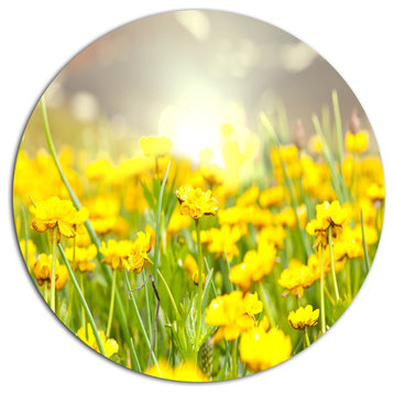 Sunny Meadow With Yellow Flowers, Floral Round Wall Art, 36"