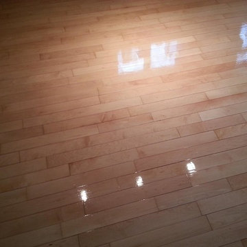 Our Work