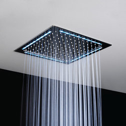 Downlight Ceiling Shower - Shower Heads and Body Sprays