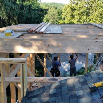 Don N
