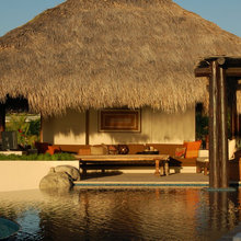 Thatch