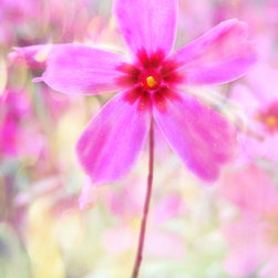 Pink Wildflower - Artwork