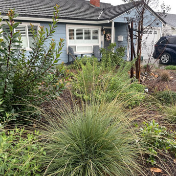 California Native Plants- Front and Back Yard Design