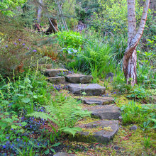 Small gardens, patios, balconies