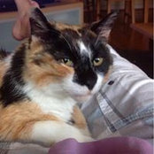 Casey Pruden's photo