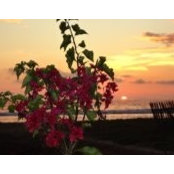 Pia Cevallos's photo