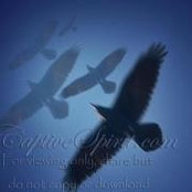 Kathleen W's photo
