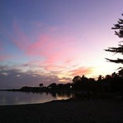 Christine Pacey's photo