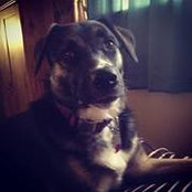 Bobbie Grace's photo