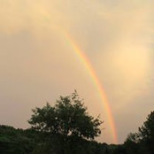 Foto von Holly Scholz