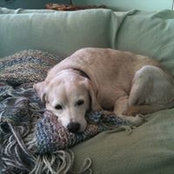 Rebecca Lotsoff's photo