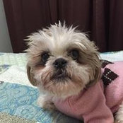 Phoebe Wood's photo