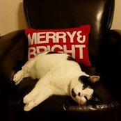 Maddy Jones's photo