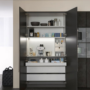 Contemporary kitchen pantry designs - Trendy kitchen pantry photo in Barcelona
