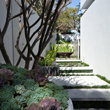 Garden Ideas
