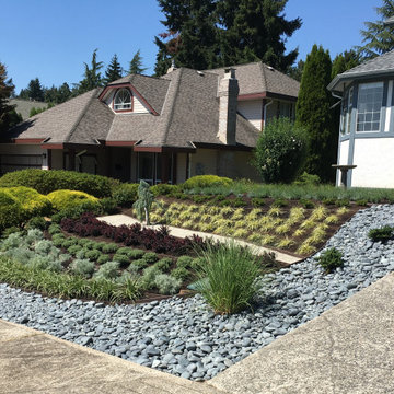 AFTER - Upslope view of completed front yard