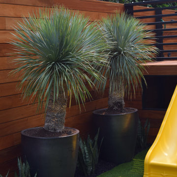 Mid-Century Modern Backyard - Oakland
