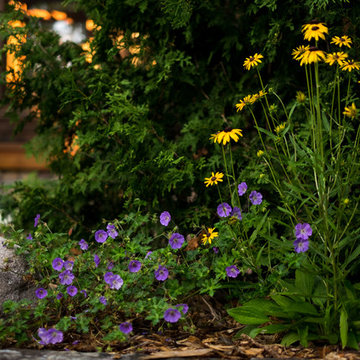 Adirondack Arroyo (or An Aesthetic and Functional Solution to a Drainage Issue)
