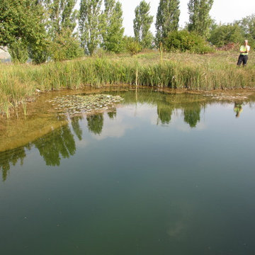 BioNova Natural Swimming Pools - International