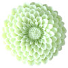 Flower Drawer Knobs - Furniture Knobs Mum, Light Green