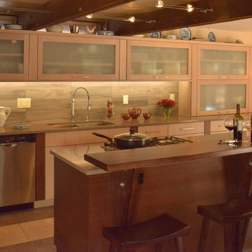Modern and Transitional Kitchens