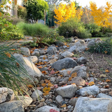 California Craftsman Forest Garden
