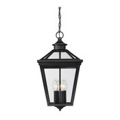 Ellijay Outdoor Hanging Lantern, Black, 20.75"