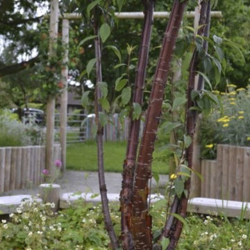 Public realm and corporate landscapes