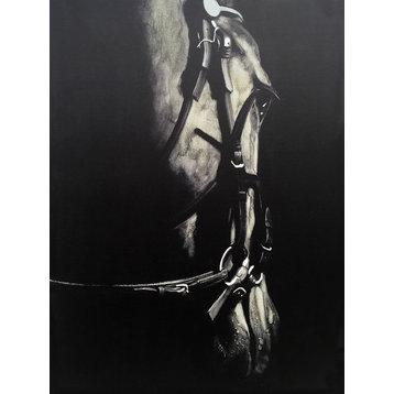 Wall Decor Painting Horse in the Dark V