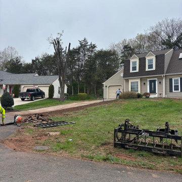 Tree Removal and Full Property Cleanup in Stafford VA
