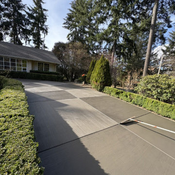 Deck Transformation in Bellevue