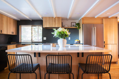 Trendy kitchen photo in Other