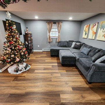 Basement Finish with bathroom