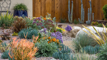 Color! All Drought Tolerant!